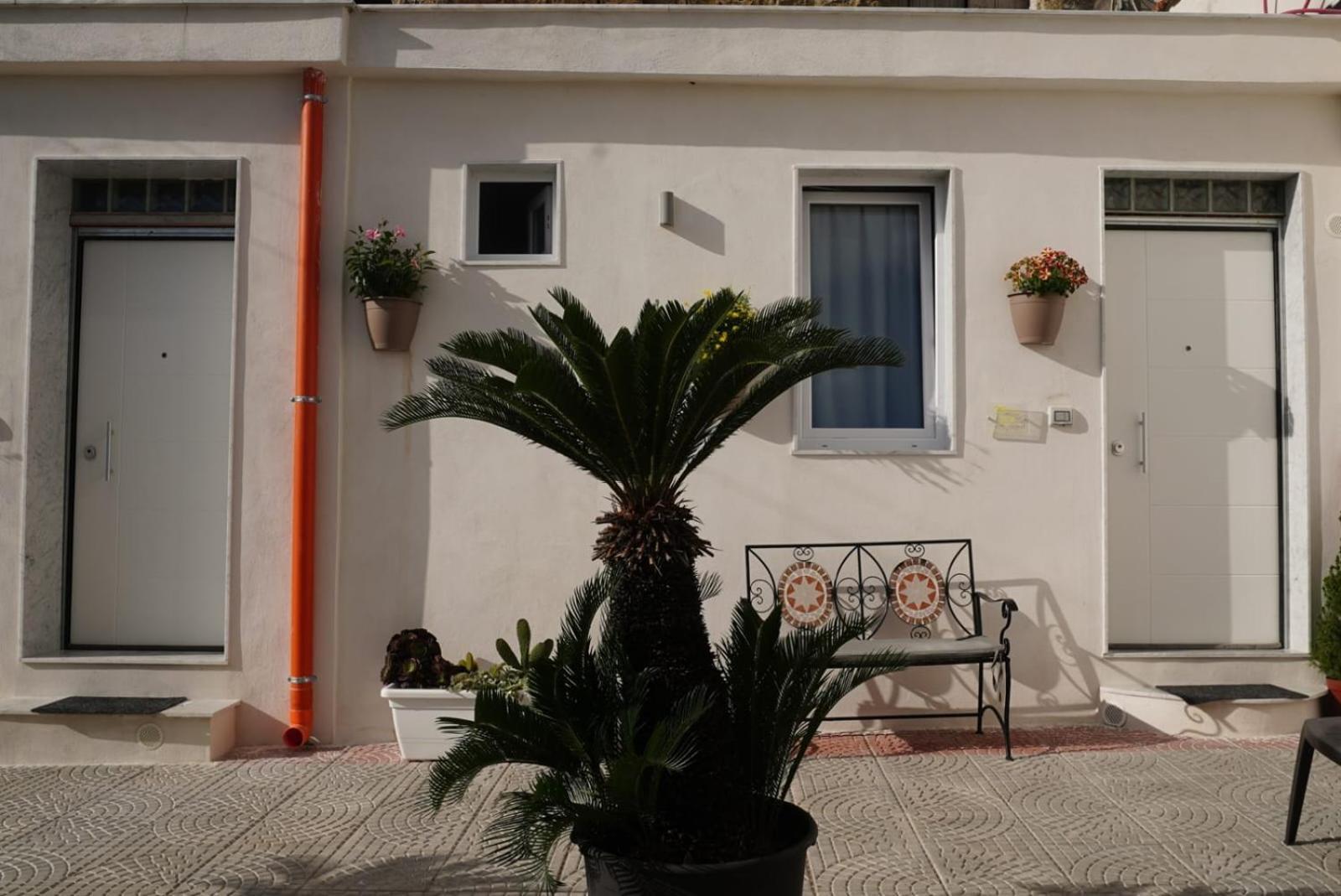 Vesuvio Capodichino Apartment *